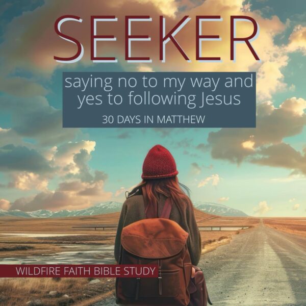 Seeker: Saying No to My Way and Yes to Following Jesus (30 Days in Matthew)