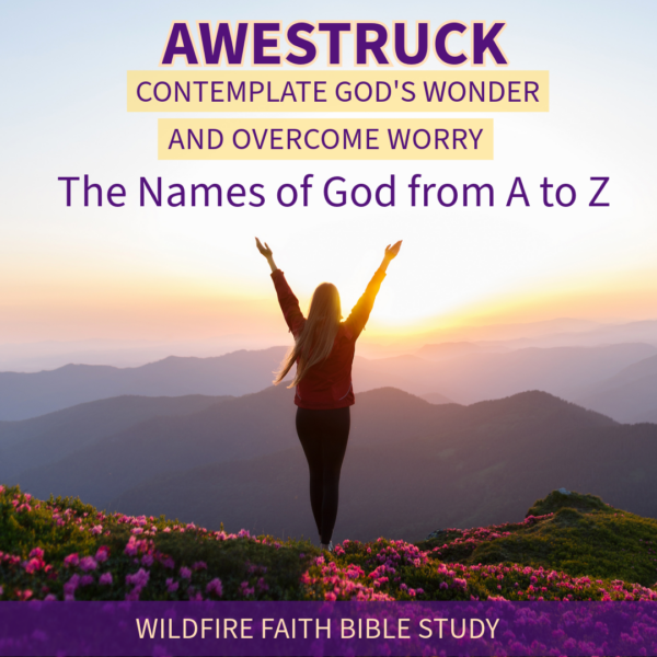 Awestruck: Contemplate God's Wonder and Overcome Worry (The Names of God from A to Z)